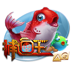 尼科：我希望继续在毕巴创造历史 希望以最大的努力回报球迷